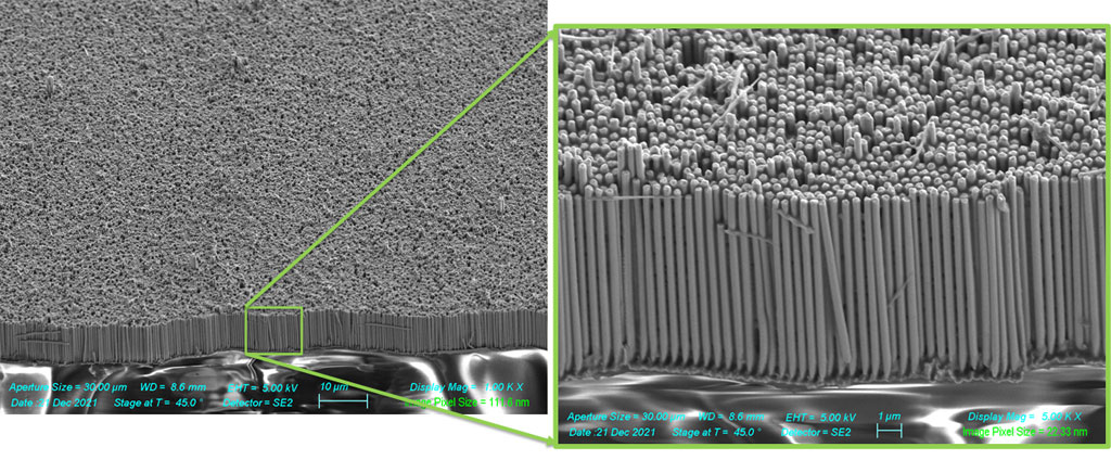 Self-regulated interfaces to prevent H Embrittlement
