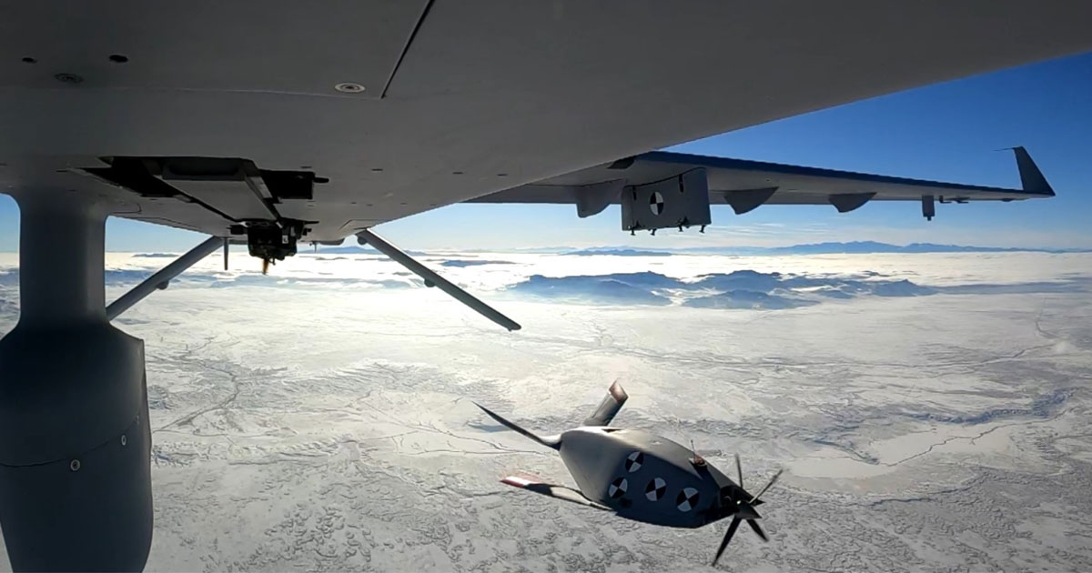 eaglet-takes-its-first-flight.jpg