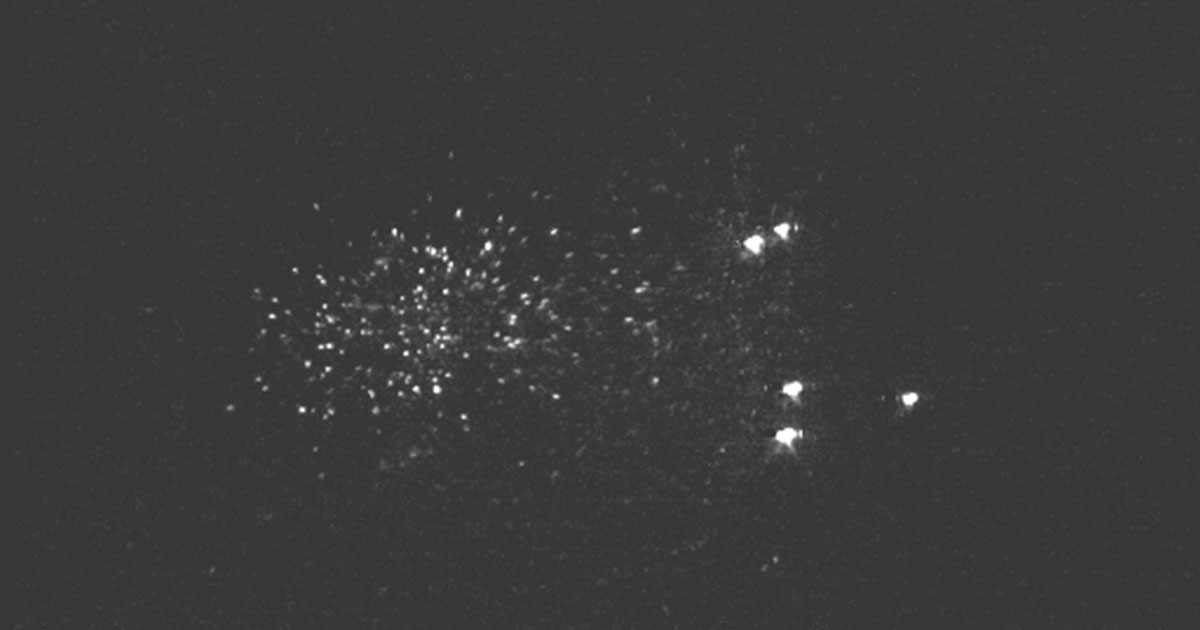 Five 700-micron carbon pellets (the bright spots at right) are shown here ablating as they pass through the hot plasma in the DIII-D tokamak. 