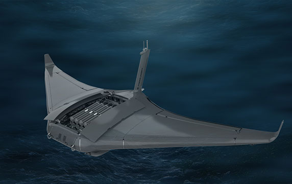 Unmanned Underwater Vehicles (UUVs)